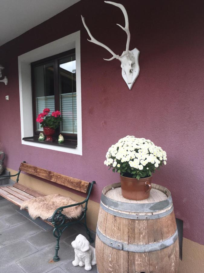 Haus Gsenger Apartment Abtenau Bagian luar foto
