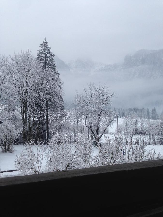 Haus Gsenger Apartment Abtenau Bagian luar foto